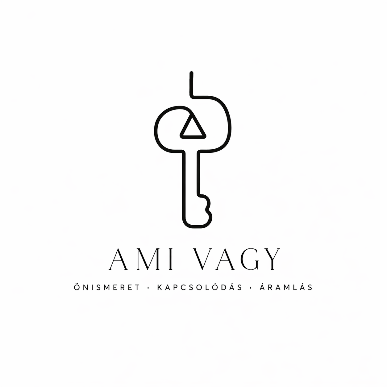 amivagy logo